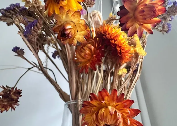 דירה Proche Centre